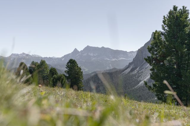 Immagine: Sport e gourmet nelle Dolomiti